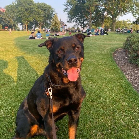 Meet your Posher, Brian - Picture 2 of 2